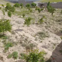 زمین ویلایی|فروش زمین و ملک کلنگی|اسکو, |دیوار