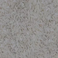 برنج هاشمی درجه یک گیلان