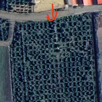 فروش زمین باغ