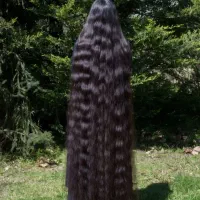 خریدار اصلی مو از تهران، صادر کننده هستم