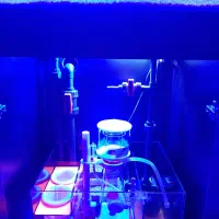 آکواریوم آب شور|ماهی|تهران, سلسبیل شمالی|دیوار