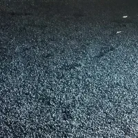 کربن پوسته پسته