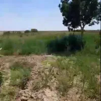 زمین-گرمسار