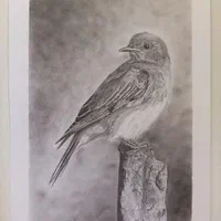 آموزش فوق تخصصی نقاشی و خط و غیره|خدمات آموزشی|شیراز, آزادگان|دیوار