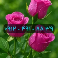 ۰۹۱۲-۴۹۱-۸۸۳۹