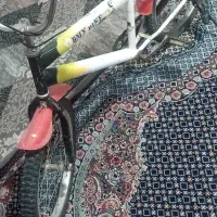 دوچرخه ۱۶بچه گانه|دوچرخه، اسکیت، اسکوتر|میاندوآب, |دیوار