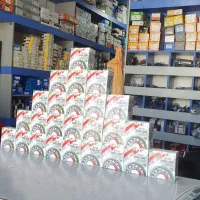 بلبرینگ جلو و عقب  همراه با تغویض