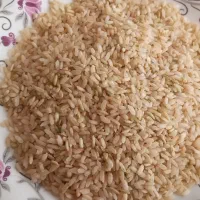 برنج چمپا کامفیروزی