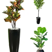 انواع درخت،درختچه مصنوعی جاودان،نخل،شکوفه،بابا ادم|گل مصنوعی|مشهد, امیر|دیوار