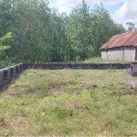 فروش زمین در منطقه چاف و چمخاله