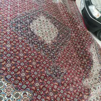 فرش قرمز تراکم1000