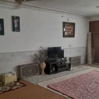 اجاره زیر زمین گلخانه‌ای و پر نور