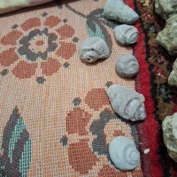 بهترین سنگ توپی|کلکسیون اشیاء عتیقه|آشتیان, |دیوار