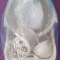 سرویس پلاستیک سیسمونی