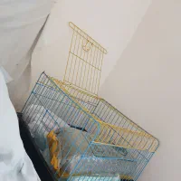 تعدادی وسایل نو و ب درد بخور