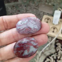 نگین شجر مرجانی دیدنی