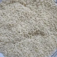 فروش برنج هاشمی