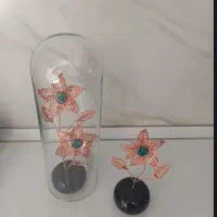 گل مسی