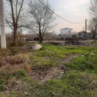 زمین مسکونی ۱۰۰متر ۱۰در۱۰ به فروش میرسد|فروش زمین و ملک کلنگی|رشت, کوی یخ|دیوار