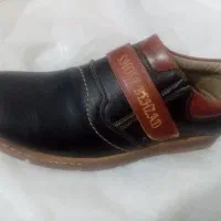 کفش مردانه|کیف، کفش، کمربند|سمنان, |دیوار