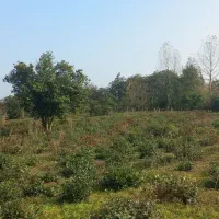 زمین ۶هزارمتری