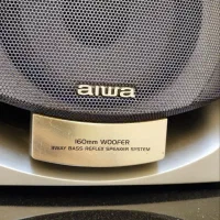 باند اصلی اورجینال عروسی|سیستم صوتی خانگی|رشت, کاکتوس|دیوار