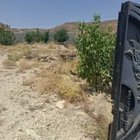 فروش باغ|فروش دفتر صنعتی، کشاورزی، تجاری|شیراز, نجم آباد|دیوار