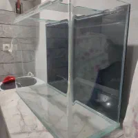 آکواریم کامل آماده پا به نو|ماهی|خمینی‌شهر, |دیوار