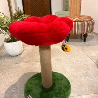 اسکچر گربه|لوازم جانبی حیوانات|تهران, گلستان (شهرک راه آهن)|دیوار