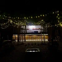 استخدام کافه