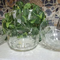 ظروف پذیرایی|ظروف سرو و پذیرایی|گنبد کاووس, |دیوار