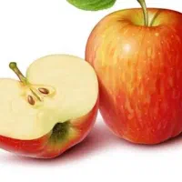 کارگر برای سیب چیدن
