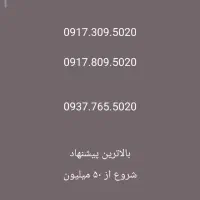 917.555.3109|سیم‌کارت|شیراز, فرهنگ شهر|دیوار