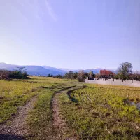 ۵۰۰متر داخل بافت دور دیوار|فروش زمین و ملک کلنگی|احمدسرگوراب, |دیوار