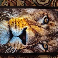 ردمی پد 2 11 اینچ(رم 8 256) خاکستری