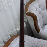 دوتار حرفه ای