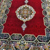 دوتافرش دوازده متری قالی نو نو نو