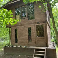 جایی میان رویا/واقعیت