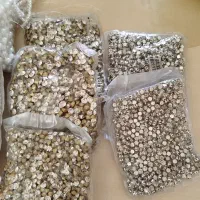 منجوق مروارید ریسه و نگین پایه دار|زیورآلات و اکسسوری|ورامین, شهرک مدرس|دیوار