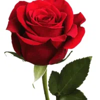 آموزشگاه مکانیک خودرو