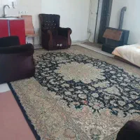 هم خونه