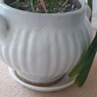 گلدان