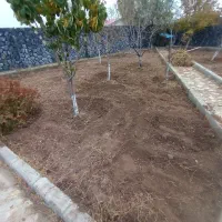 شخم زنی و خدمات باغی|خدمات باغبانی و درختکاری|صوفیان, |دیوار