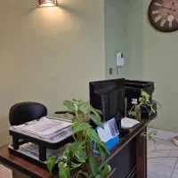 نیروی فروش حرفه ای