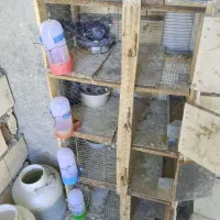 قفس کبوتر جفت کن چوبی چهار طبقه
