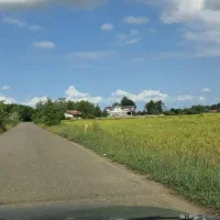 ۳۱۰ متر زمین داخل طرح هادی