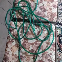 نئون برای ویترین