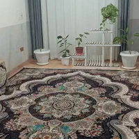 آپارتمان 90مترشیک اکازیون بهترین محله بهترین کوچه|فروش آپارتمان|کرمانشاه, |دیوار