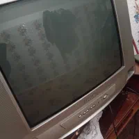 تلوزیون