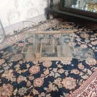 قفس بزرگ دستبافت سهره|لوازم جانبی حیوانات|محمدشهر, همایون ویلا|دیوار